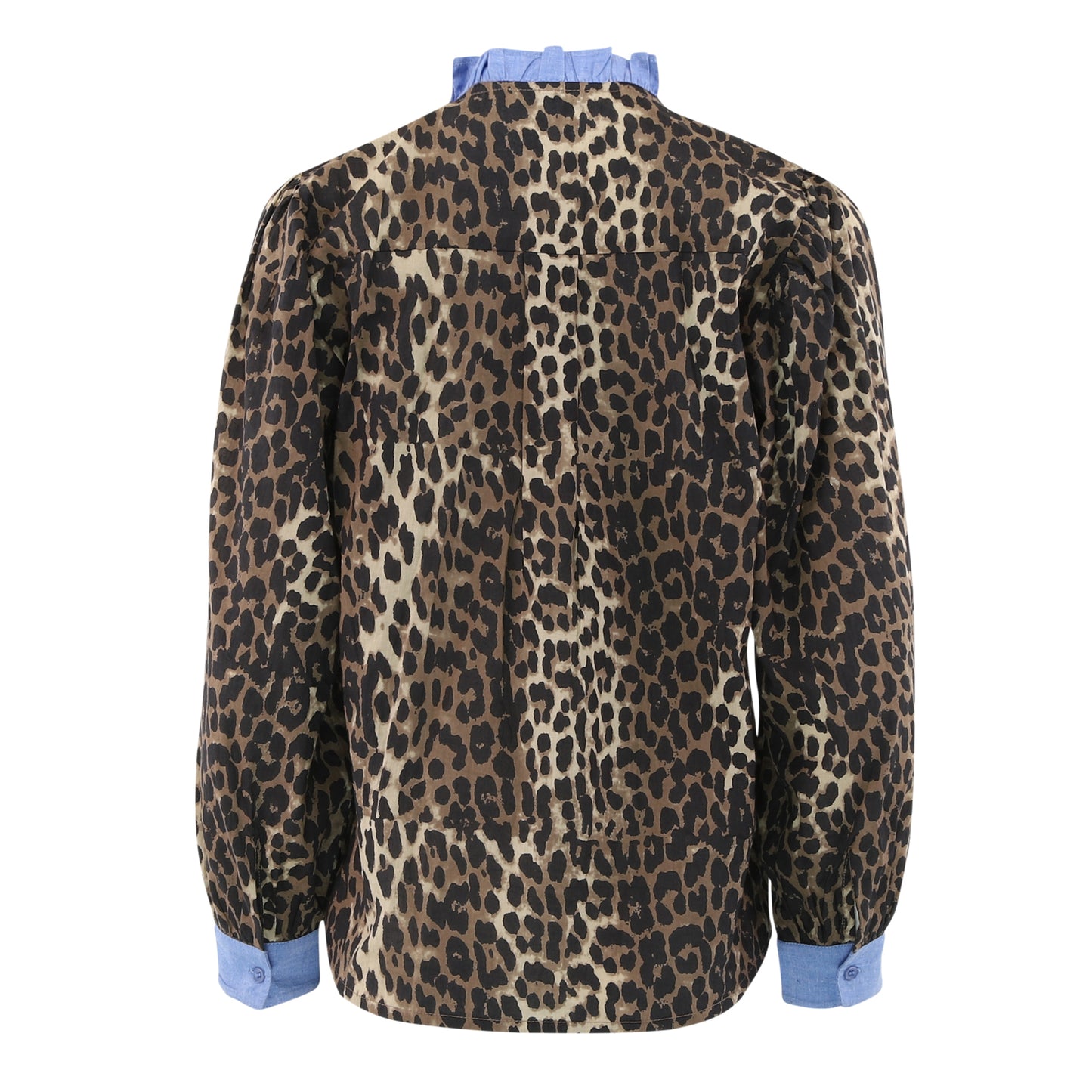 149638 | CONTINUE - Chania Leopard