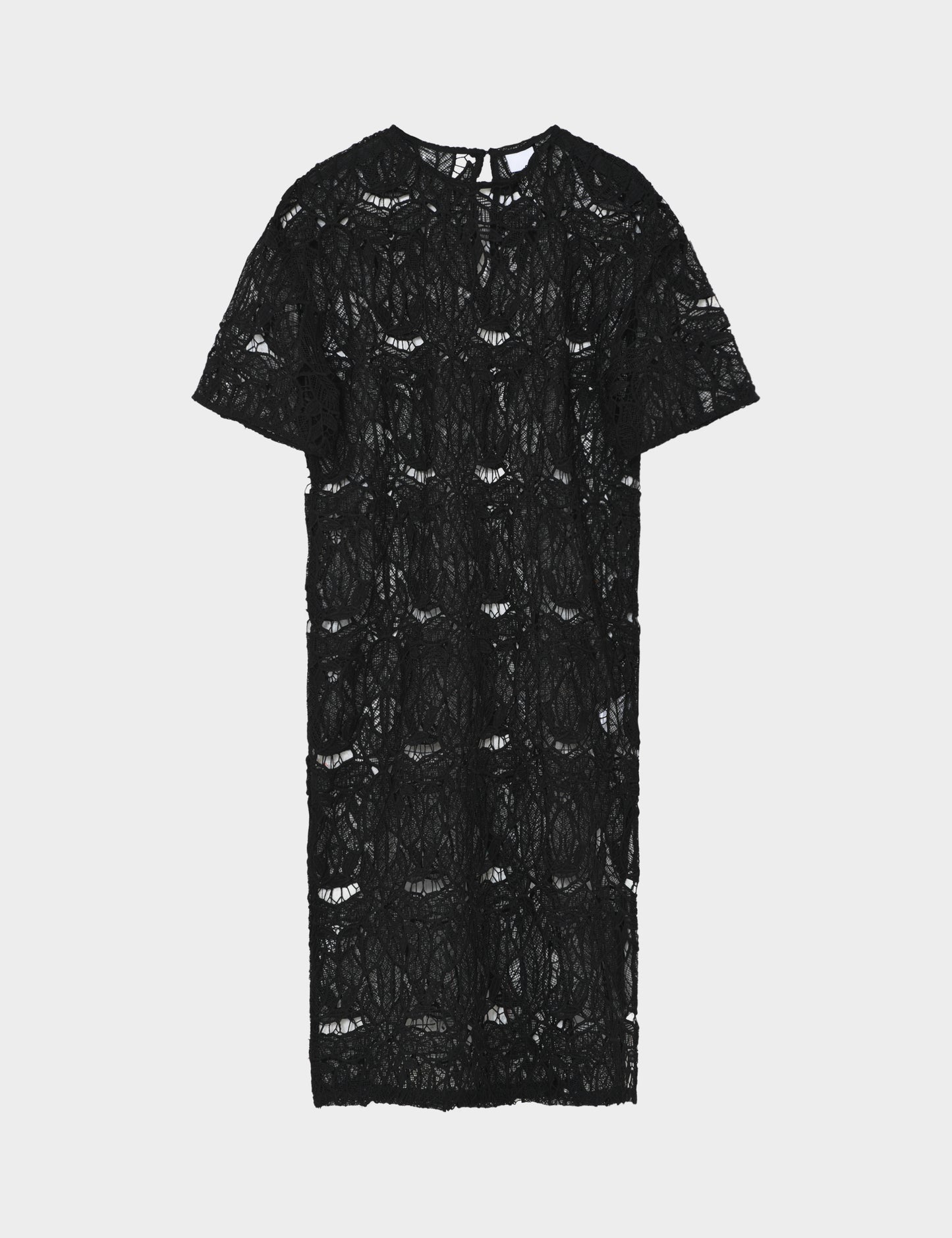 153523 | 2NDDAY - Kendra Sort