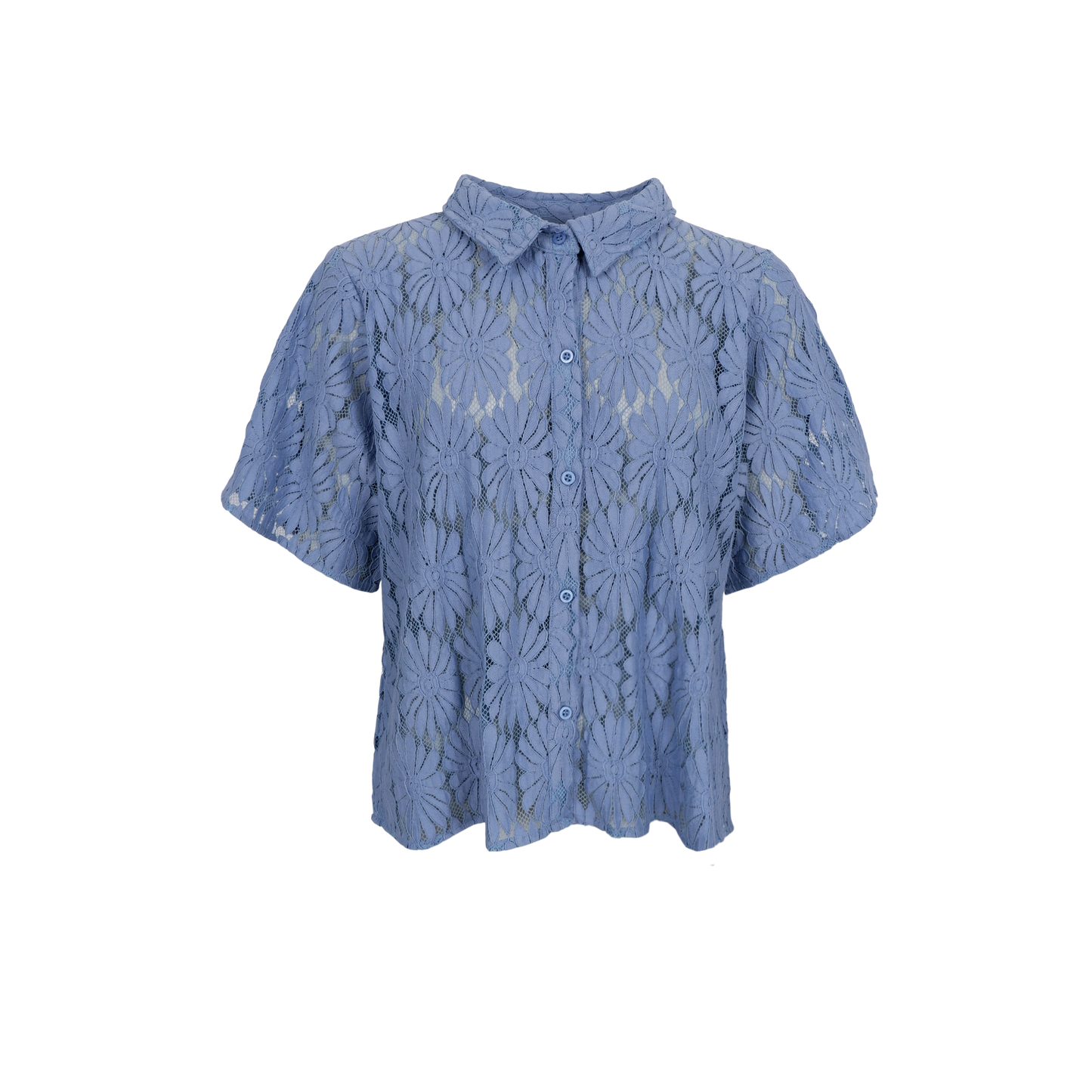 151810 | Black Colour - Cosmos Lyseblå