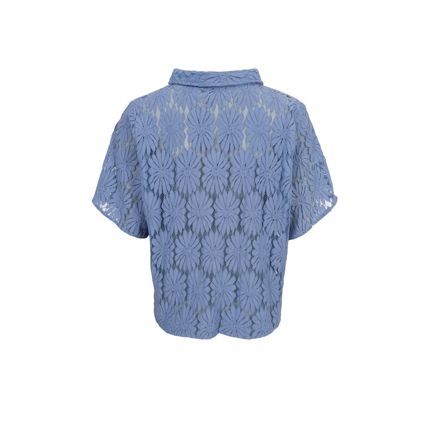 151810 | Black Colour - Cosmos Lyseblå