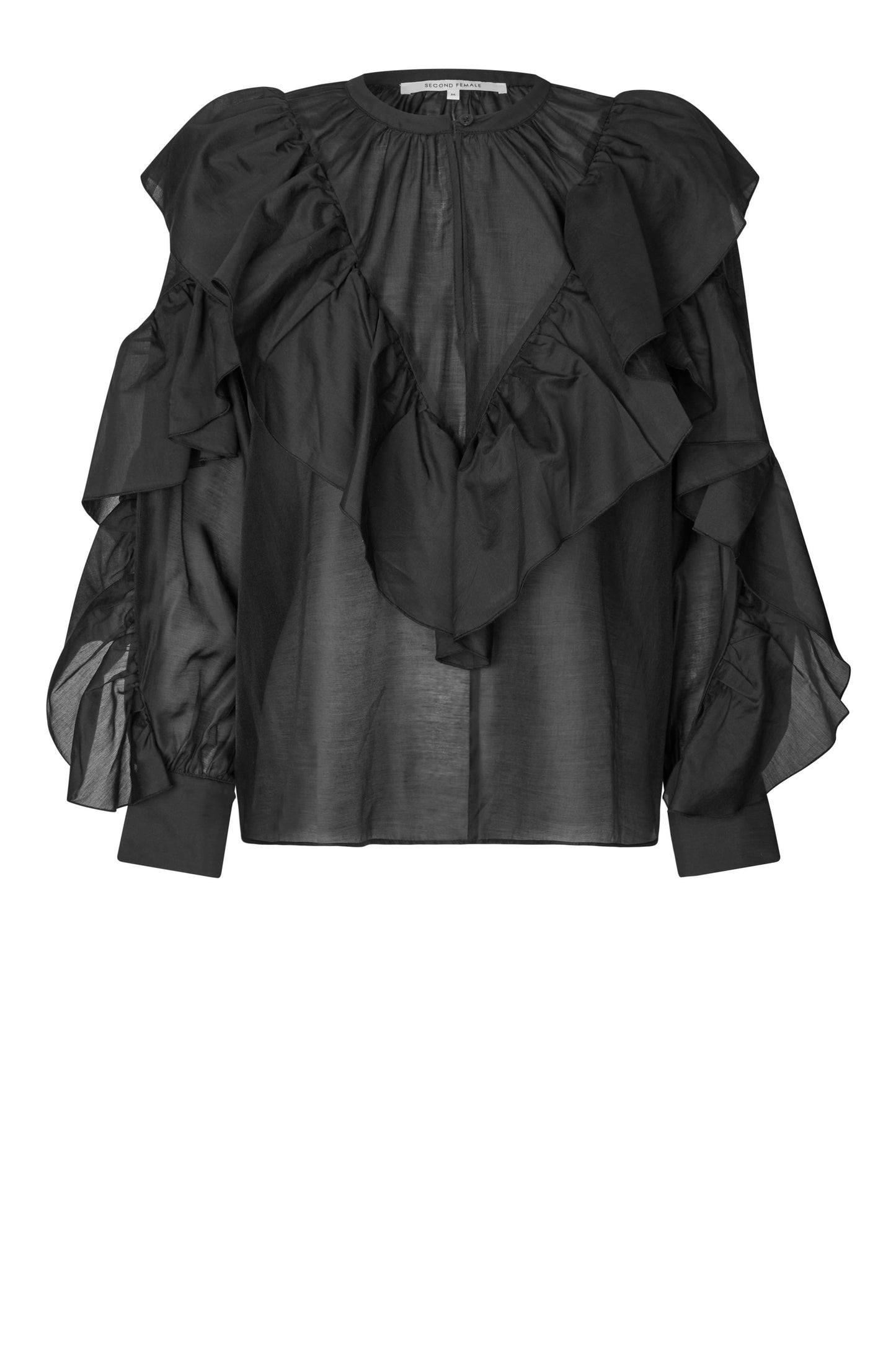 153249 | SECOND FEMALE - Frida Sort