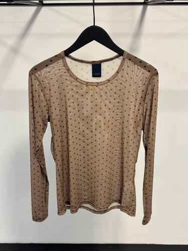 154293 | Luxzuz - Sigdotti Lysebrun