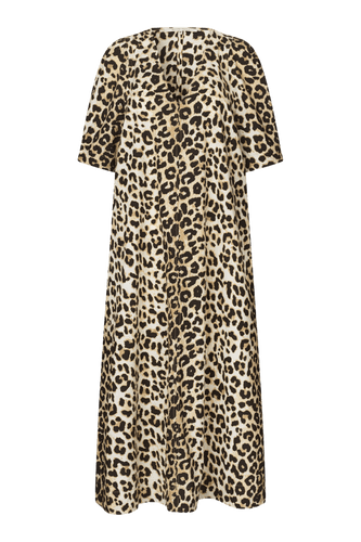 148513 | SECOND FEMALE - Leoa Leopard