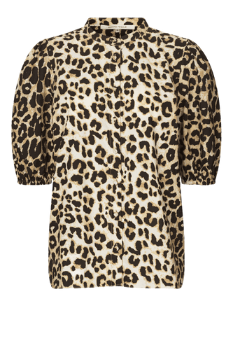 148515 | SECOND FEMALE - Leoa Leopard