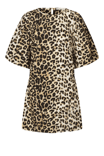 148534 | SECOND FEMALE -  Leopard