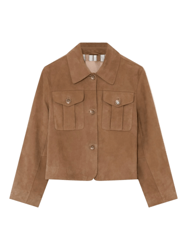 155870 | Gustav - Soho Camel