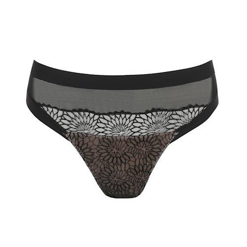 135688 | PrimaDonna - Sophora Black Sort.