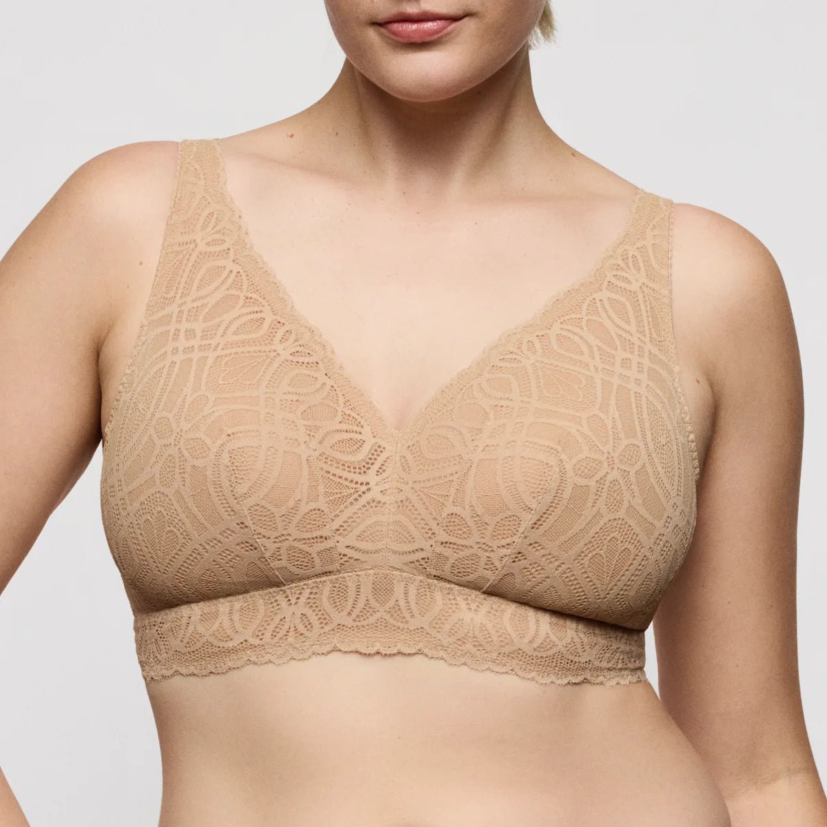 154838 | PrimaDonna - Salerno Candy Ginger Pudder