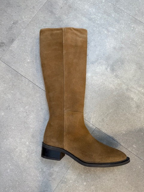 152240 | PAVEMENT - Finka Camel