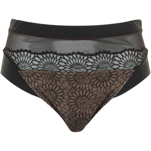 135089 | PrimaDonna - Sophora Black Sort.