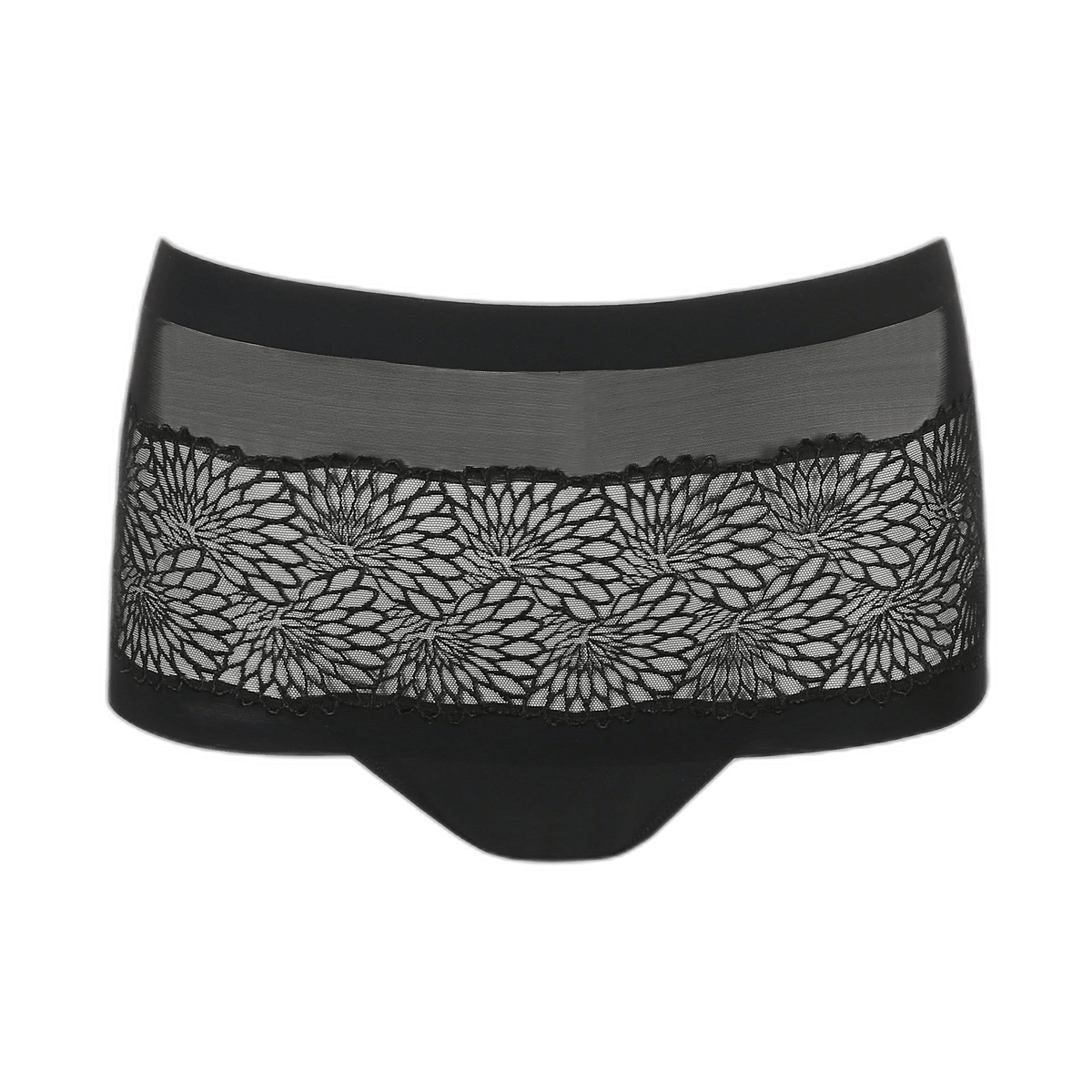 136580 | PrimaDonna - Sophora Black Sort.